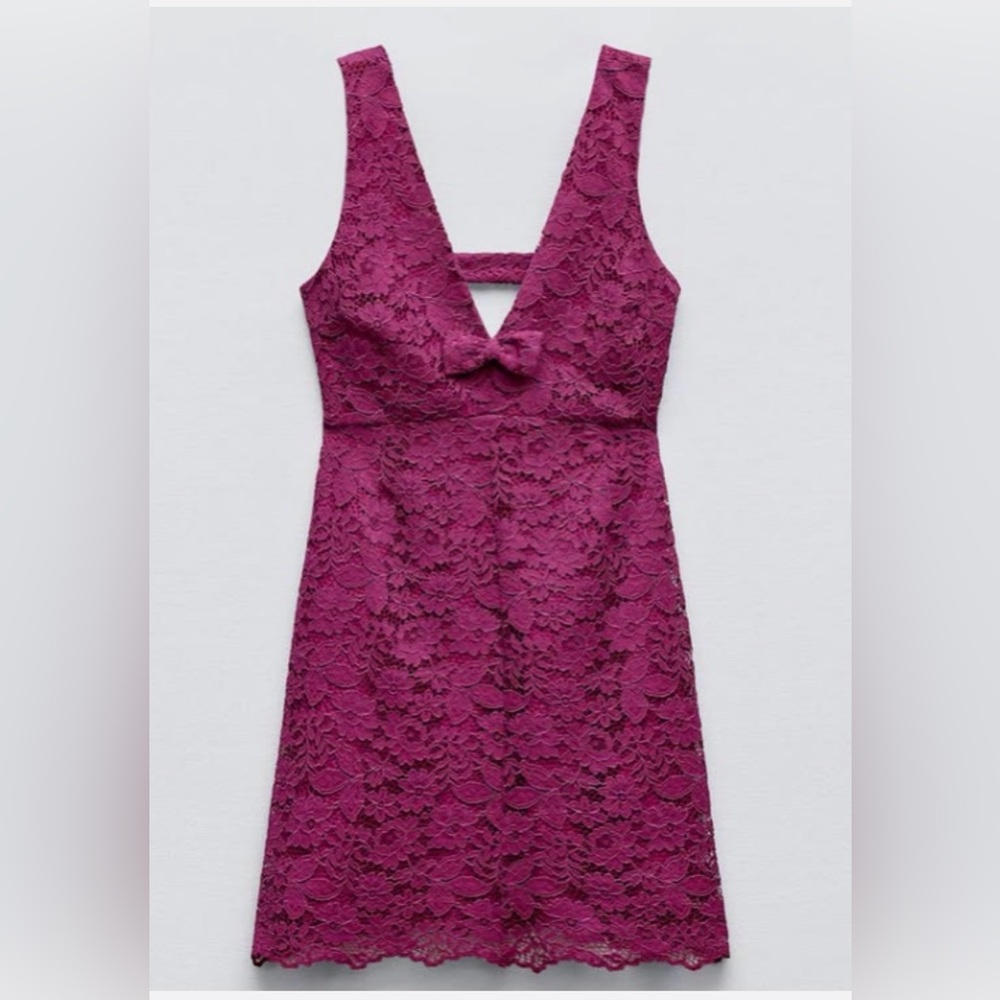 NWT Zara Lace Pinafore Dress